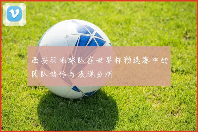 西安羽毛球队在世界杯预选赛中的团队协作与表现分析