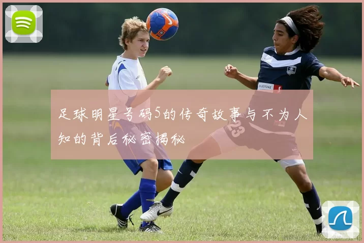 足球明星号码5的传奇故事与不为人知的背后秘密揭秘