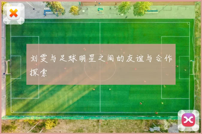 刘雯与足球明星之间的友谊与合作探索