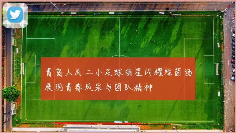 青岛人民二小足球明星闪耀绿茵场展现青春风采与团队精神