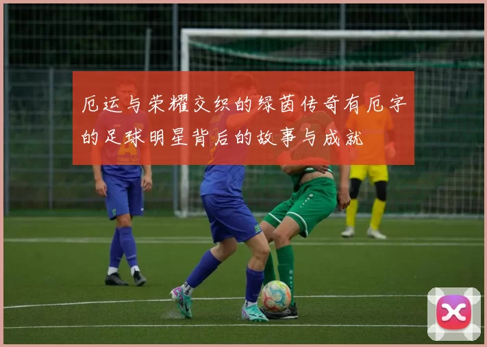 厄运与荣耀交织的绿茵传奇有厄字的足球明星背后的故事与成就