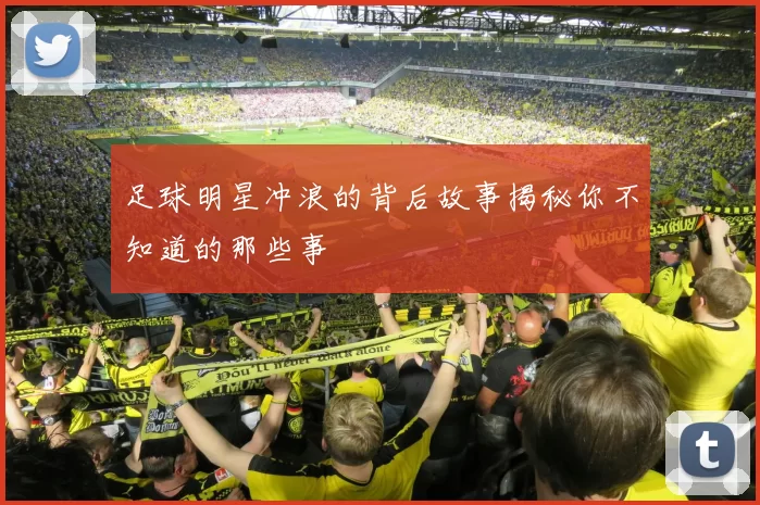 足球明星冲浪的背后故事揭秘你不知道的那些事