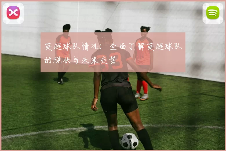 英超球队情况：全面了解英超球队的现状与未来走势