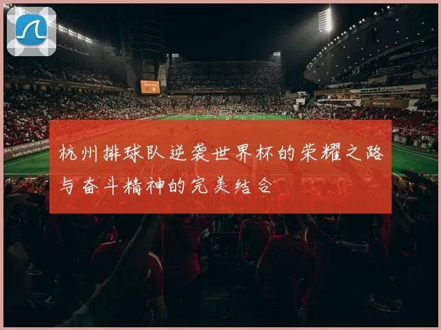 杭州排球队逆袭世界杯的荣耀之路与奋斗精神的完美结合
