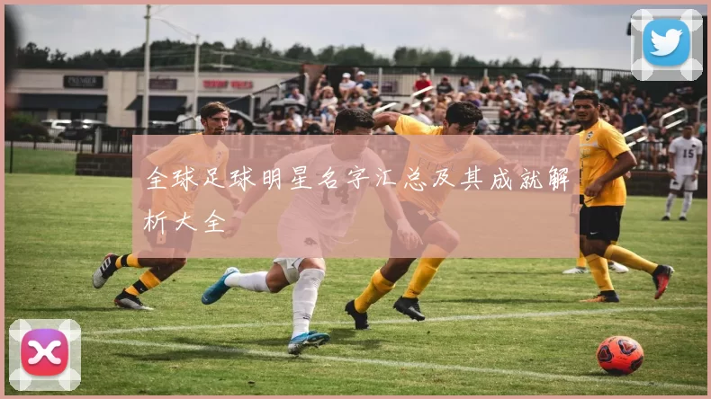 全球足球明星名字汇总及其成就解析大全