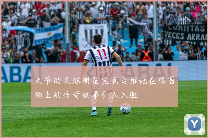 大爷的足球明星究竟是谁他在绿茵场上的传奇故事引人入胜