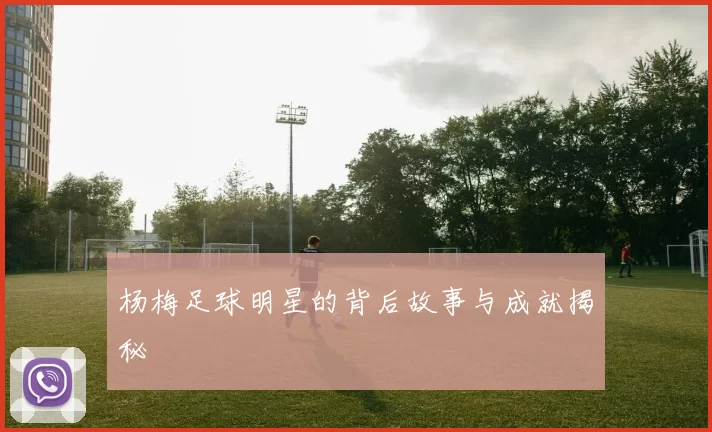 杨梅足球明星的背后故事与成就揭秘