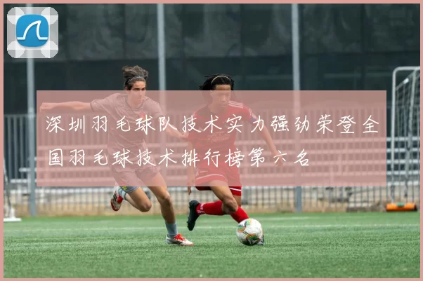 深圳羽毛球队技术实力强劲荣登全国羽毛球技术排行榜第六名
