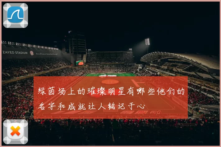 绿茵场上的璀璨明星有哪些他们的名字和成就让人铭记于心