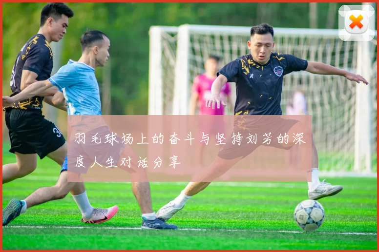 羽毛球场上的奋斗与坚持刘芳的深度人生对话分享