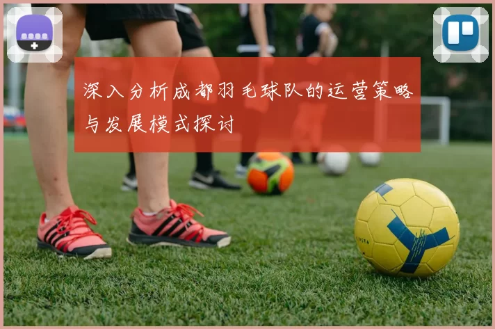 深入分析成都羽毛球队的运营策略与发展模式探讨