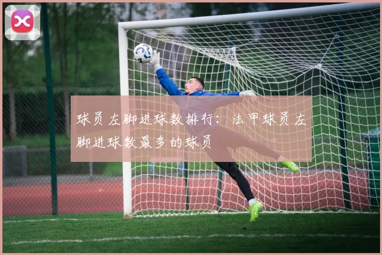 球员左脚进球数排行：法甲球员左脚进球数最多的球员