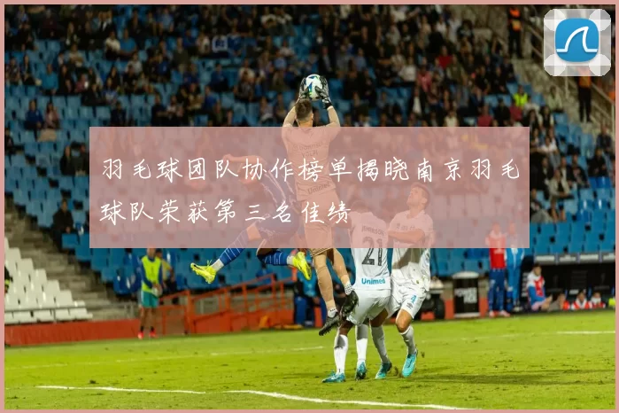 羽毛球团队协作榜单揭晓南京羽毛球队荣获第三名佳绩