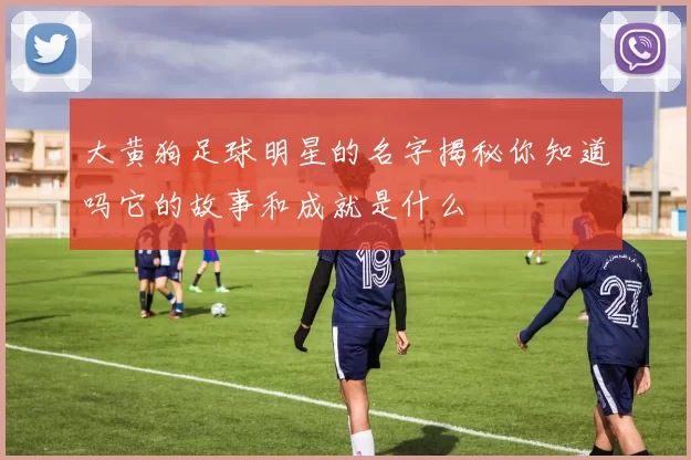 大黄狗足球明星的名字揭秘你知道吗它的故事和成就是什么