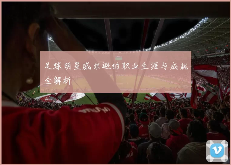 足球明星威尔逊的职业生涯与成就全解析