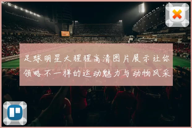 足球明星大猩猩高清图片展示让你领略不一样的运动魅力与动物风采