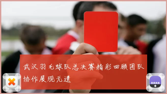 武汉羽毛球队总决赛精彩回顾团队协作展现无遗