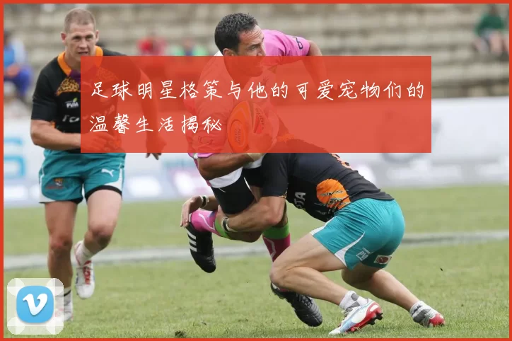 足球明星格策与他的可爱宠物们的温馨生活揭秘